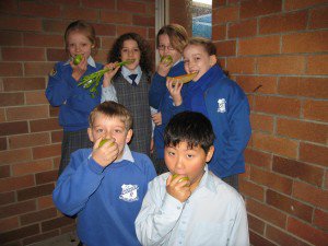 kidsfruit2